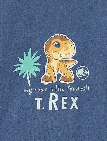 Gigoteuse chaude avec manches amovibles TOG 2