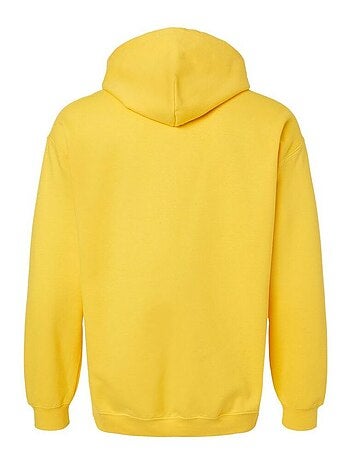 Gildan - Sweat à capuche SOFTSTYLE