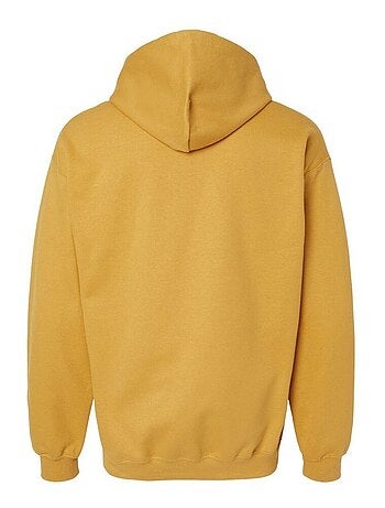 Gildan - Sweat à capuche SOFTSTYLE