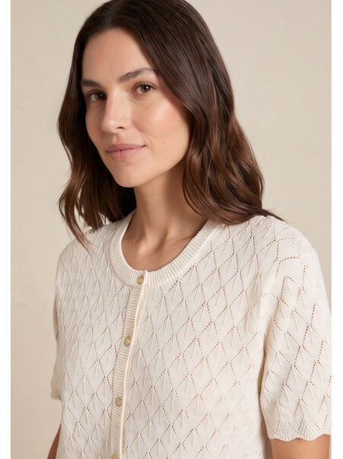 Gilet 100% coton - terre de marins - Kiabi Gilet 100% coton - terre de marins - Kiabi