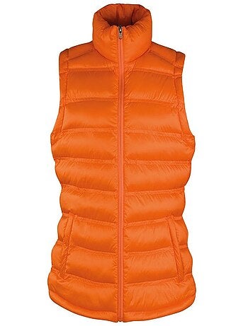 Gilet coupe-vent hydrofuge - result ice bird