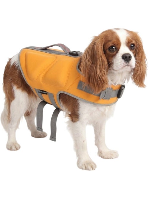 Gilet de Sauvetage réglable pour Chien Swimmy - Kiabi