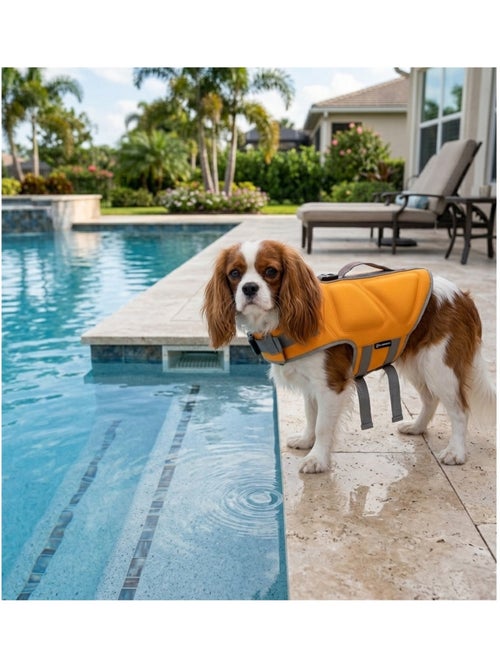 Gilet de Sauvetage réglable pour Chien Swimmy - Kiabi