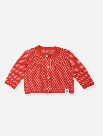 Gilet Hirondelle
