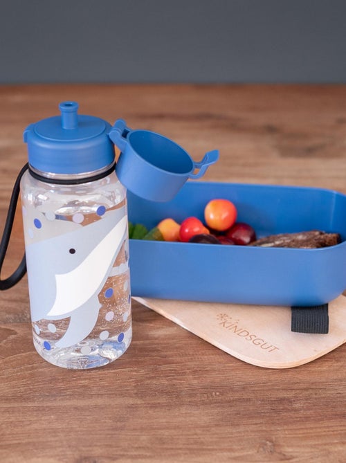 Gourde, Baleine - Kiabi