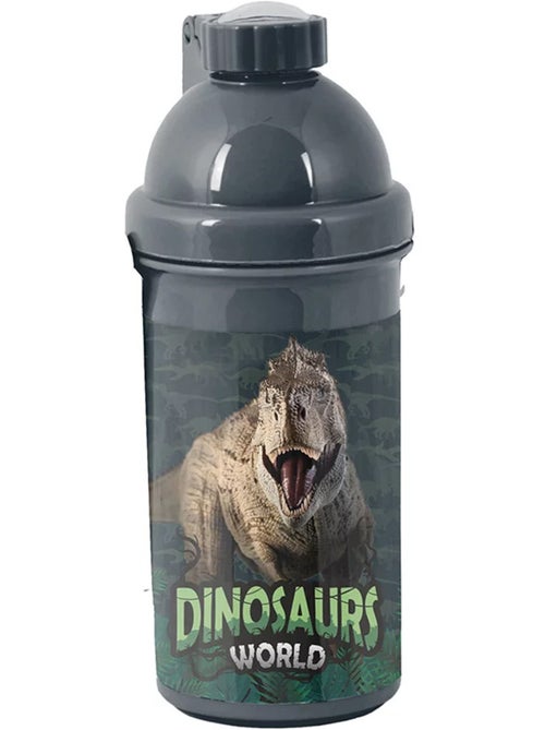 Gourde enfant en plastique T-Rex 'Dinosaures World' 18 cm – La boutique des toons - Kiabi