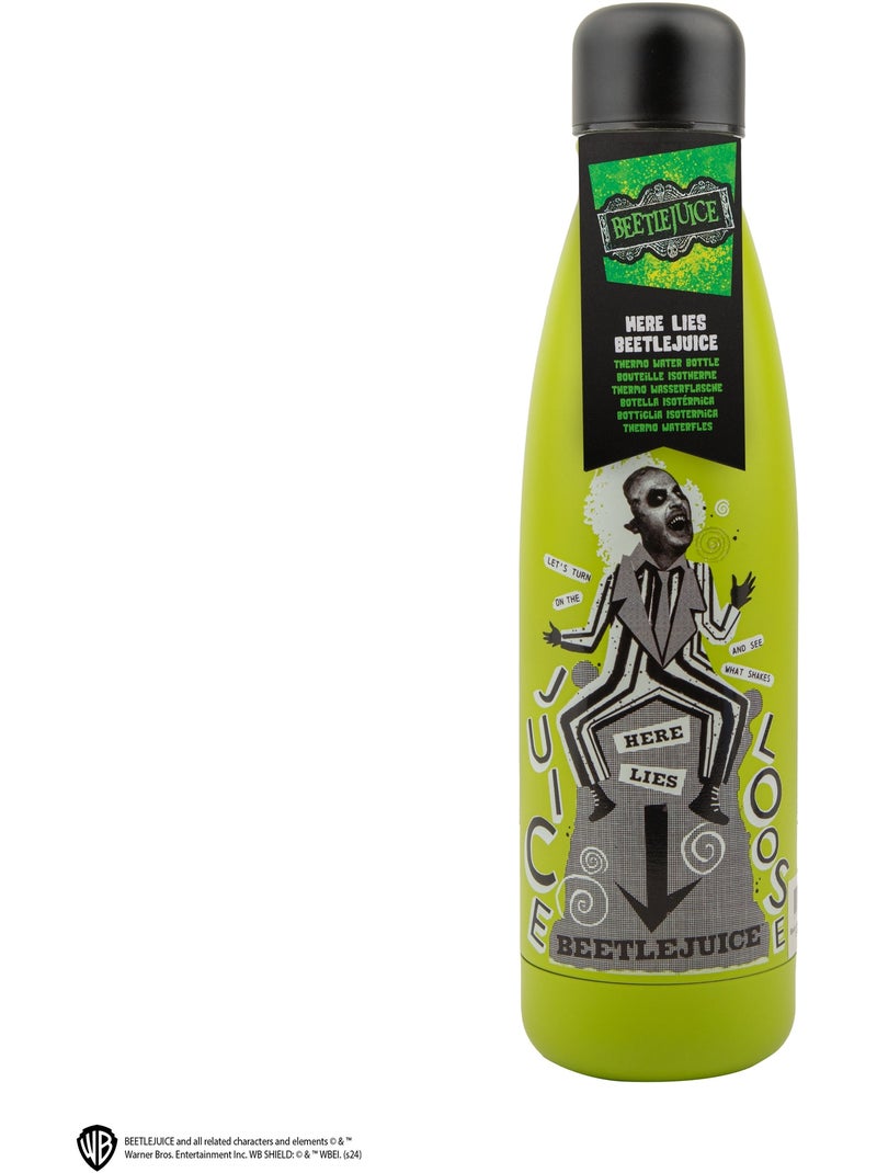 Gourde Isotherme Ci-gît Beetlejuice - Beetlejuice Vert - Kiabi