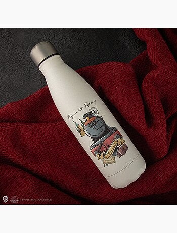Gourde Isotherme Voyage vers Poudlard - Harry Potter