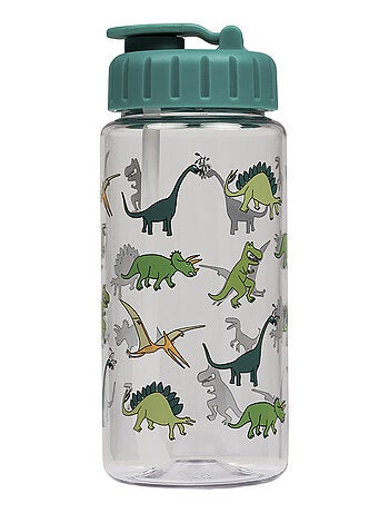 Gourde Les Dinosaures 0.35L
