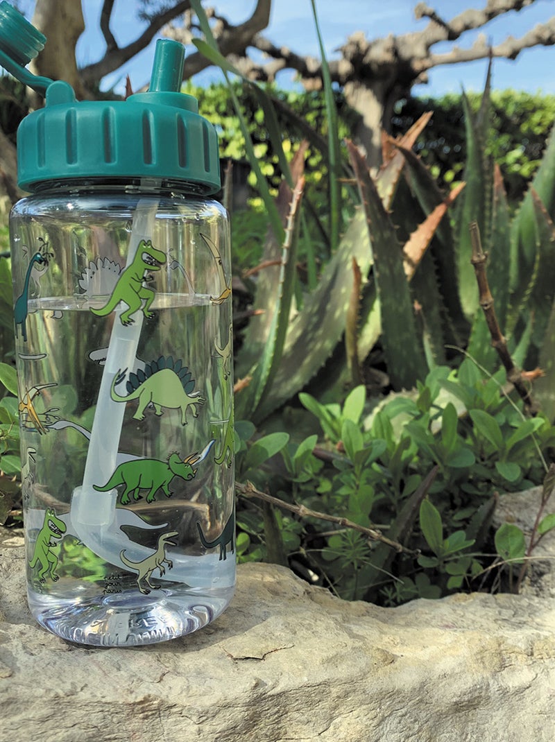 Gourde Les Dinosaures 0.35L Vert - Kiabi
