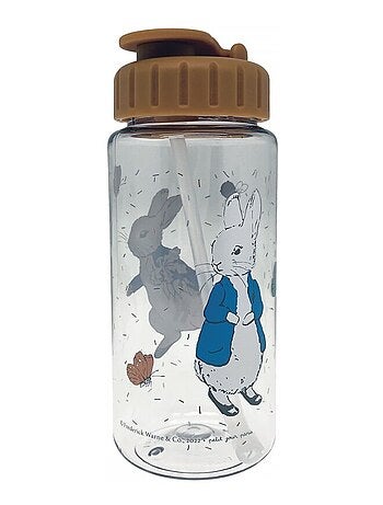 Gourde Pierre Lapin 0.35L