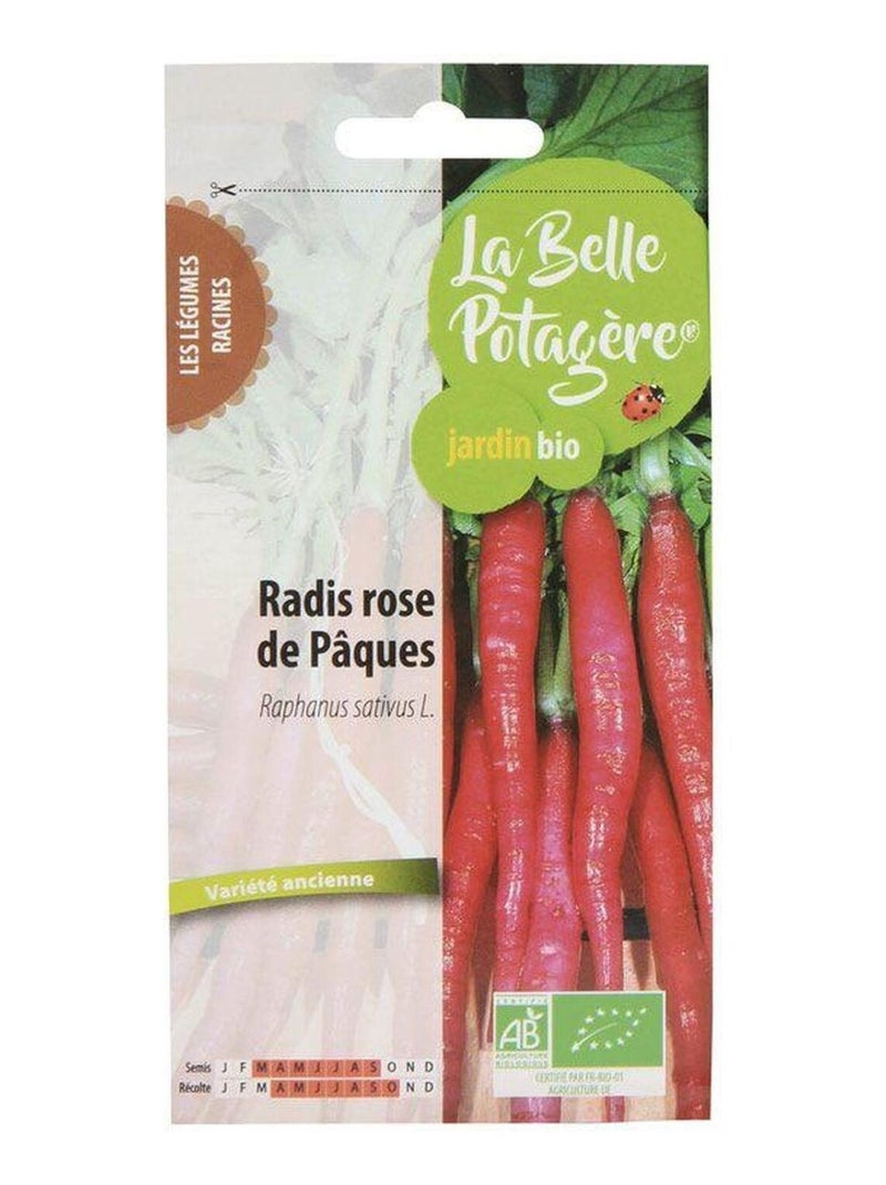 Graines à semer - Radis rose de Pâques - 9 g - La Belle Potagère N/A - Kiabi