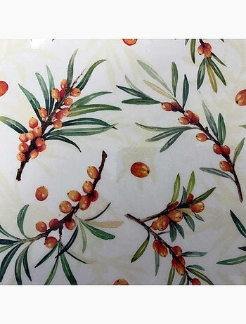 Grand plateau rectangulaire argousier