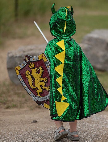 Great Pretenders | Bouclier de chevalier Honour en mousse Great Pretenders