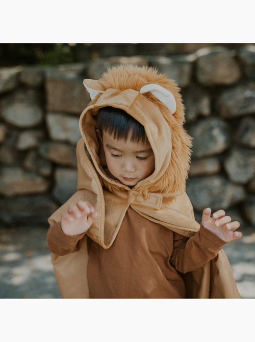 Great Pretenders | Déguisement bébé cape petit lion - Kiabi Great Pretenders | Déguisement bébé cape petit lion - Kiabi
