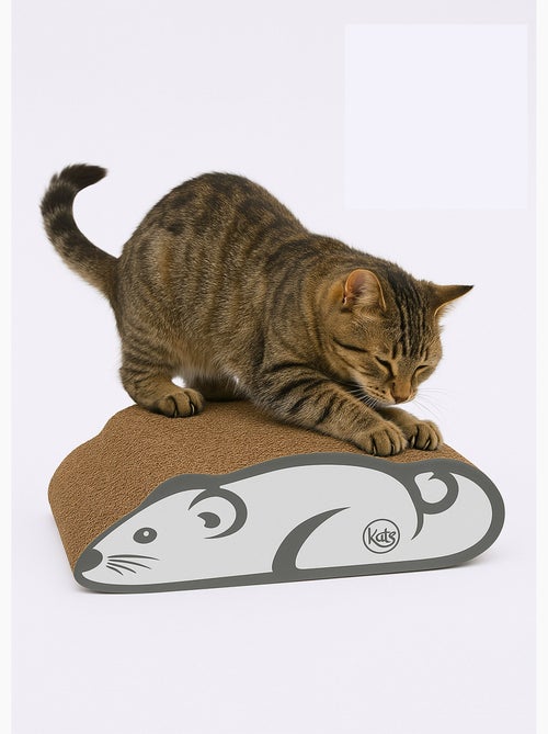 Griffoir carton en forme de souris - AFIBEL - Kiabi