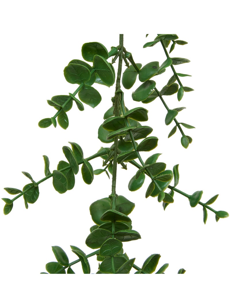 Guirlande de feuilles d'eucalyptus artificielles avec crochets muraux walker Vert - Kiabi