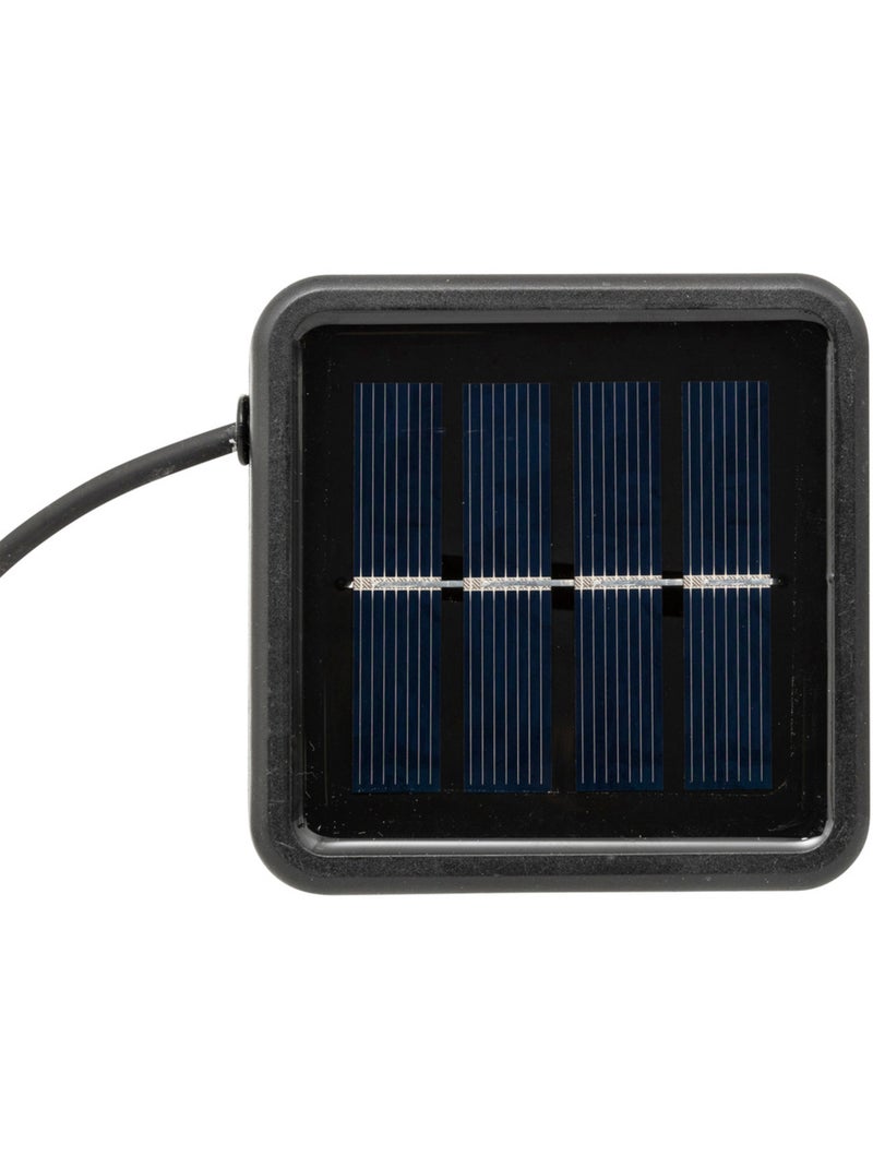 Guirlande LED solaire extérieure IVY Noir - Kiabi