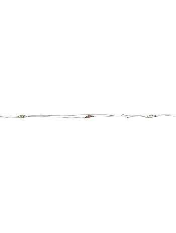 Guirlande lumineuse d'extérieur 15 m 300 led blanc chaud fil cuivre 13 fonctions sur secteur