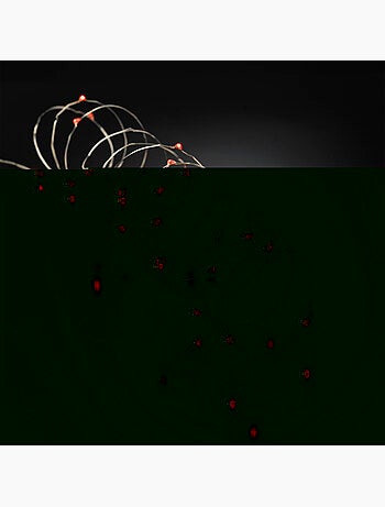 Guirlande Lumineuse Intérieure Fil de Cuivre 20 Mini LED Rouges