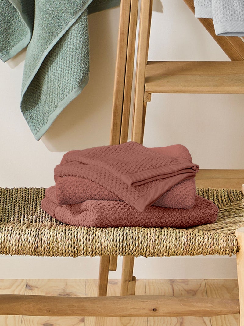 Guy Levasseur - Lot 2 serviettes de bain et 2 gants de toilette Rose - Kiabi