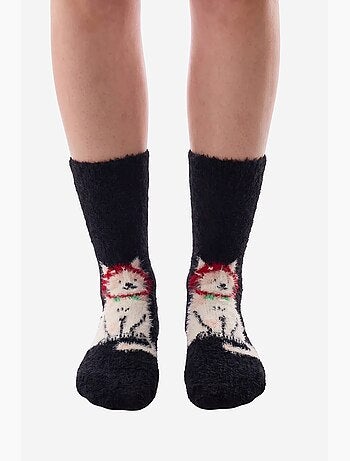 Happy cat chaussettes motif chat penti
