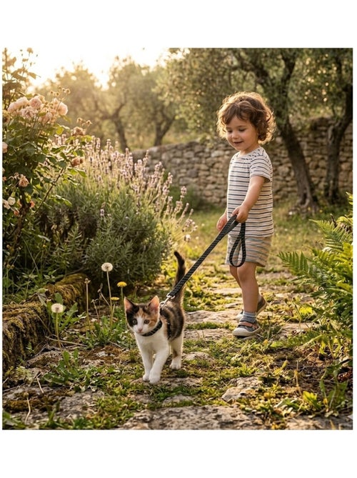 Harnais avec laisse Elza pour chat et chaton - Kiabi