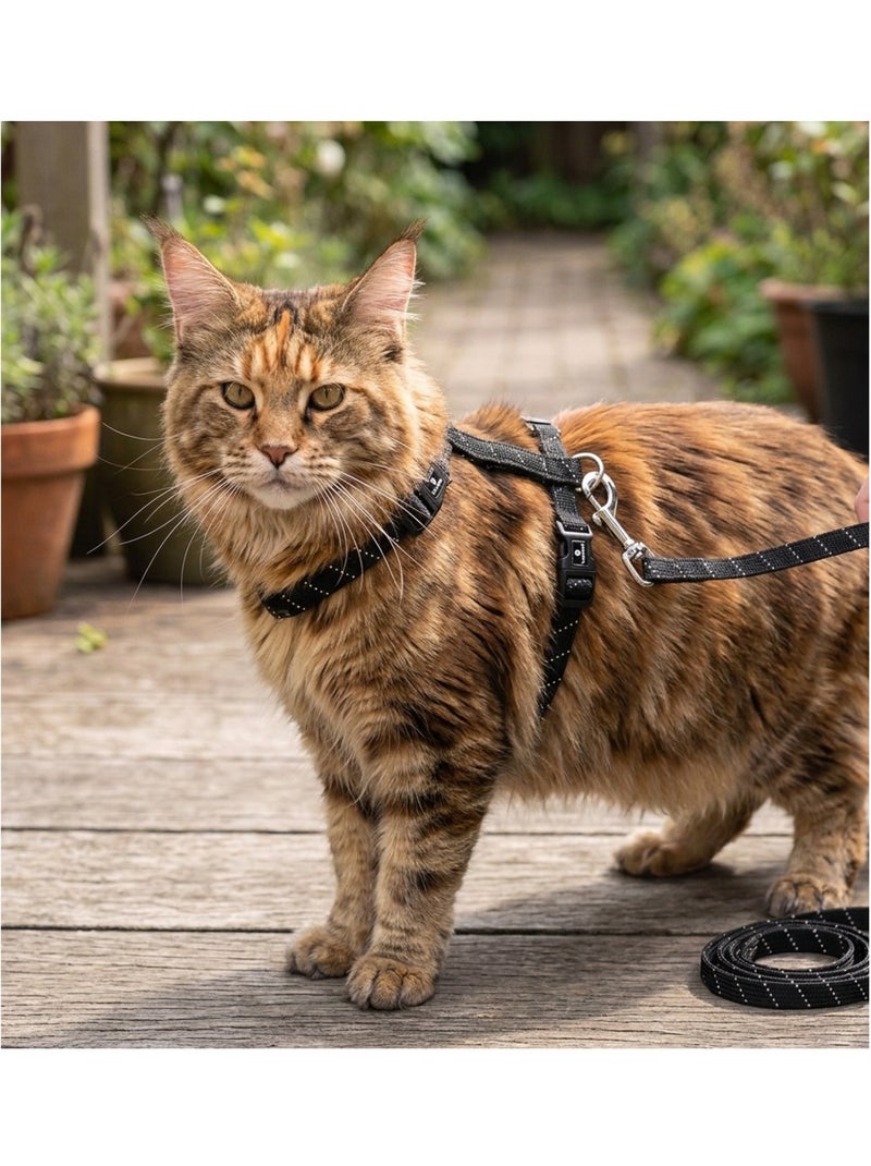 Harnais avec laisse Elza pour chat et chaton Noir - Kiabi
