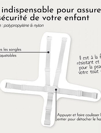 Harnais de sécurité 5 points pour chaise haute enfant Délice Monsieur Bébé - Monsieur Bébé