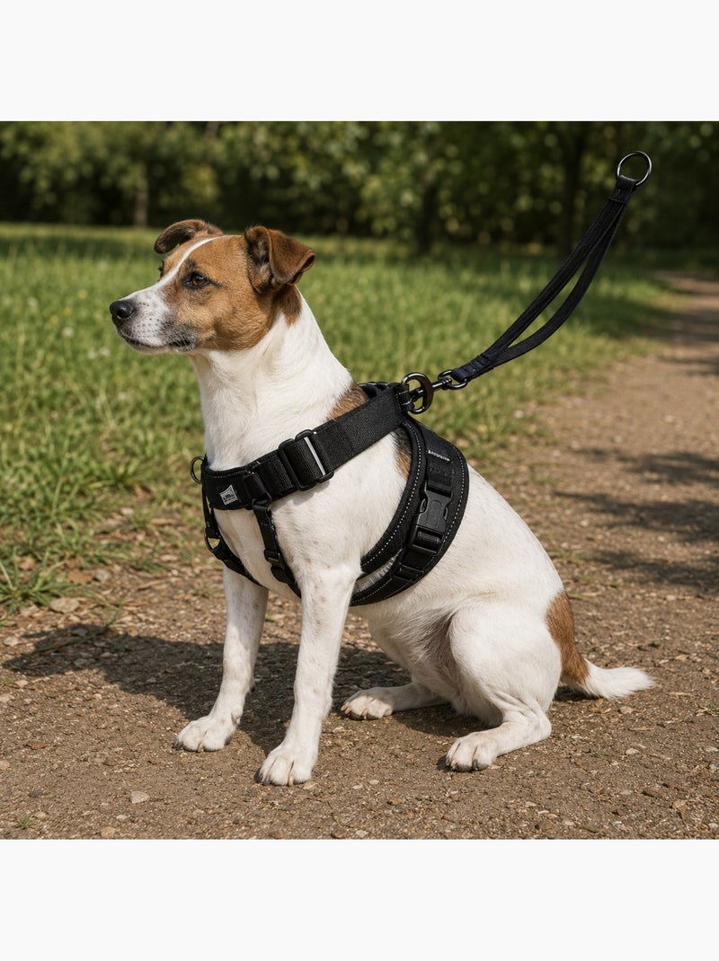Harnais Easy Walker promenades confortables et sans traction Noir - Kiabi
