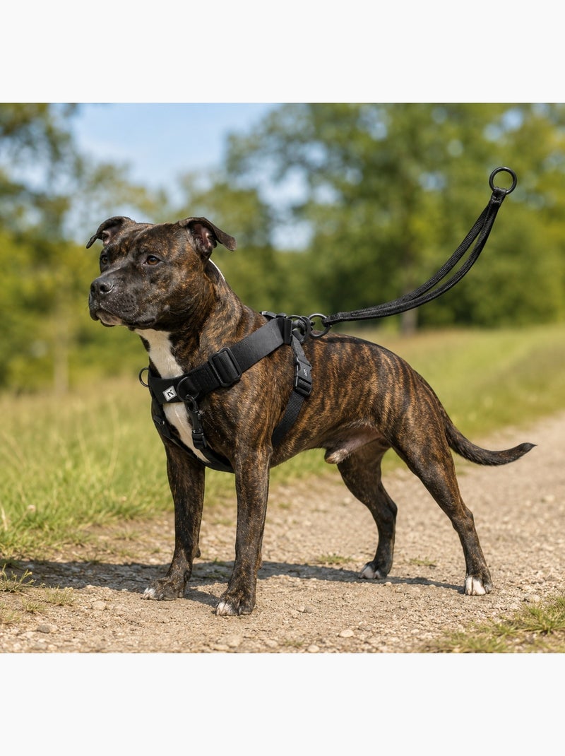Harnais Easy Walker promenades confortables et sans traction Noir - Kiabi