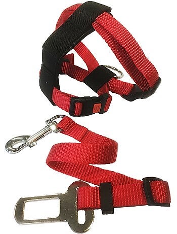 Harnais et ceinture de sécurité pour chat