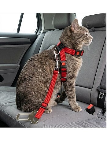 Harnais et ceinture de sécurité pour chat