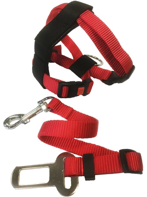Harnais et ceinture de sécurité pour chat - Kiabi