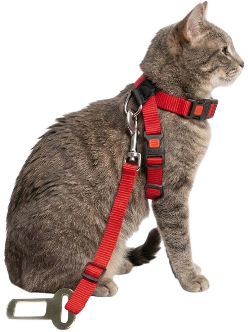 Harnais et ceinture de sécurité pour chat Rouge - Kiabi