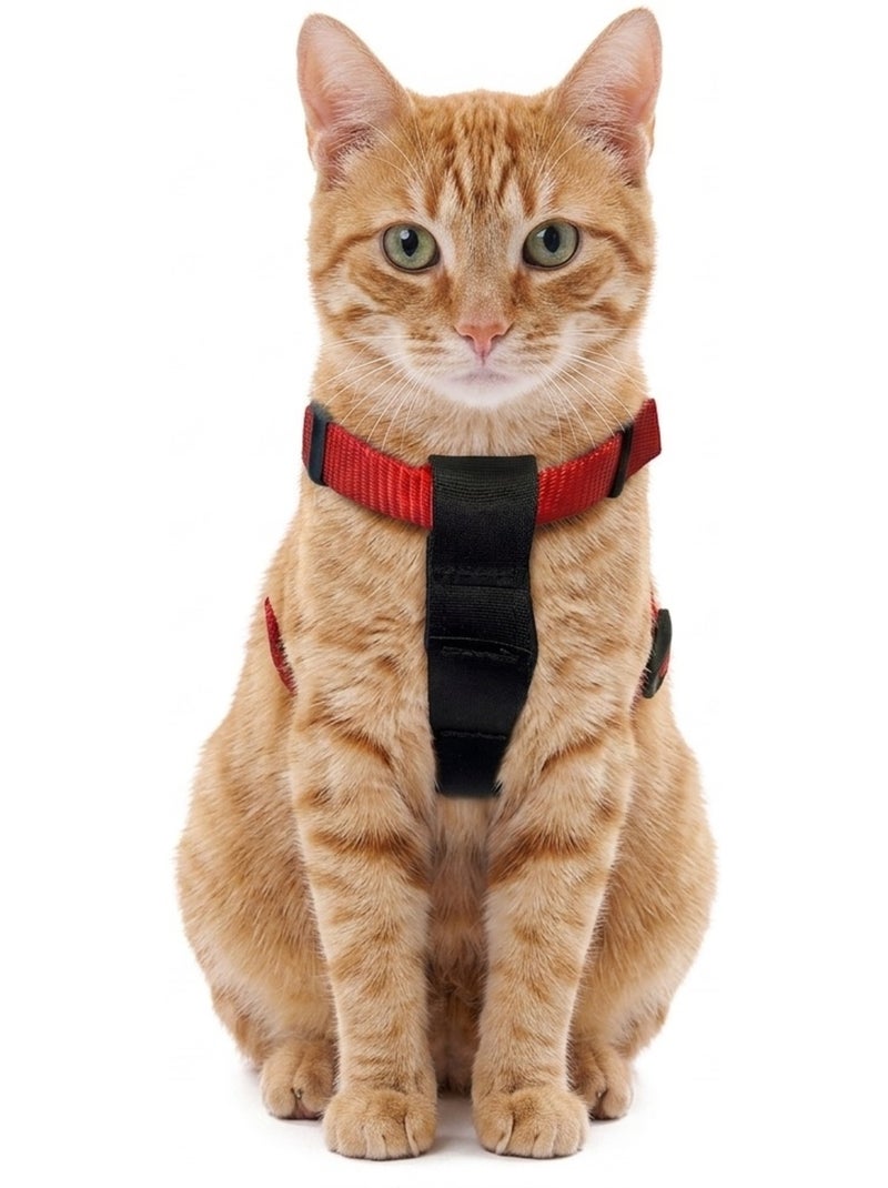 Harnais et ceinture de sécurité pour chat Rouge - Kiabi