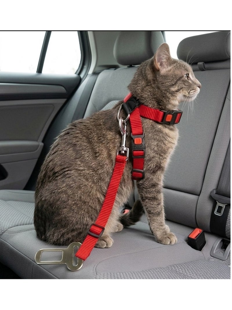 Harnais et ceinture de sécurité pour chat Rouge - Kiabi