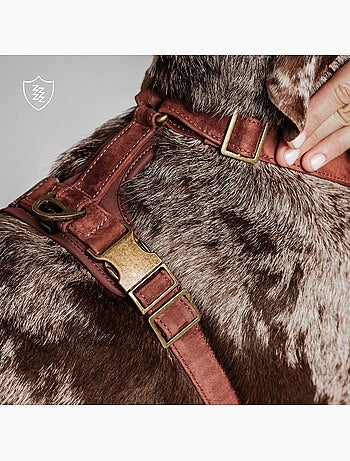 Harnais pour chien en Cuir PELUVIO Lord - Réglables