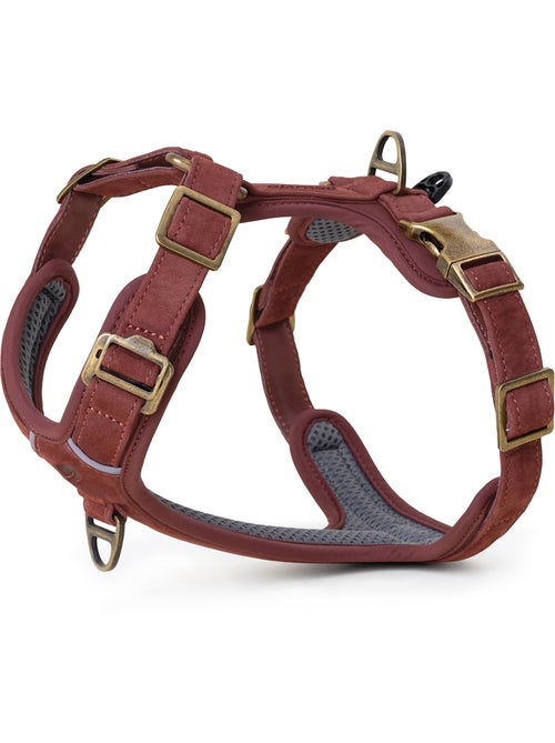 Harnais pour chien en Cuir PELUVIO Lord - Réglables - Kiabi Harnais pour chien en Cuir PELUVIO Lord - Réglables - Kiabi