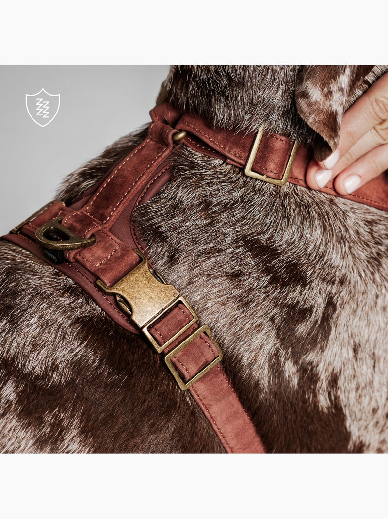 Harnais pour chien en Cuir PELUVIO Lord - Réglables Bordeaux - Kiabi
