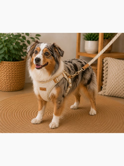 Harnais pour chien lara beige - Kiabi