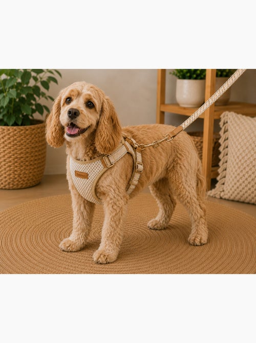 Harnais pour chien lara beige - Kiabi