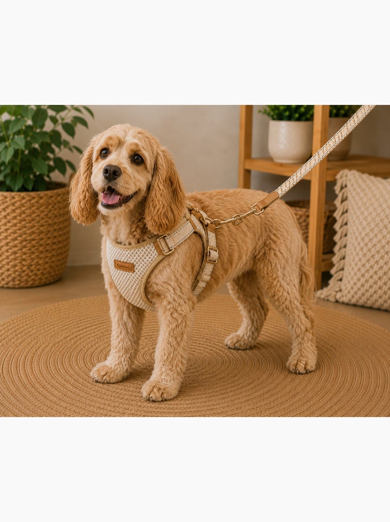 Harnais pour chien lara beige Beige - Kiabi