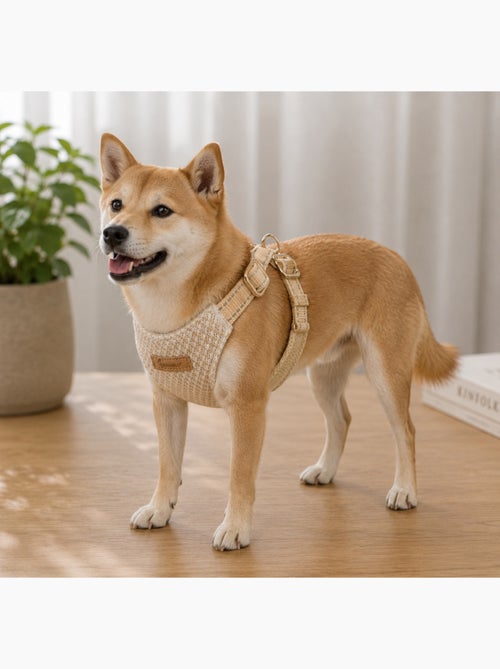 Harnais pour chien lara beige - Kiabi