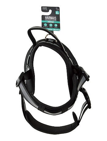 Harnais pour Chien