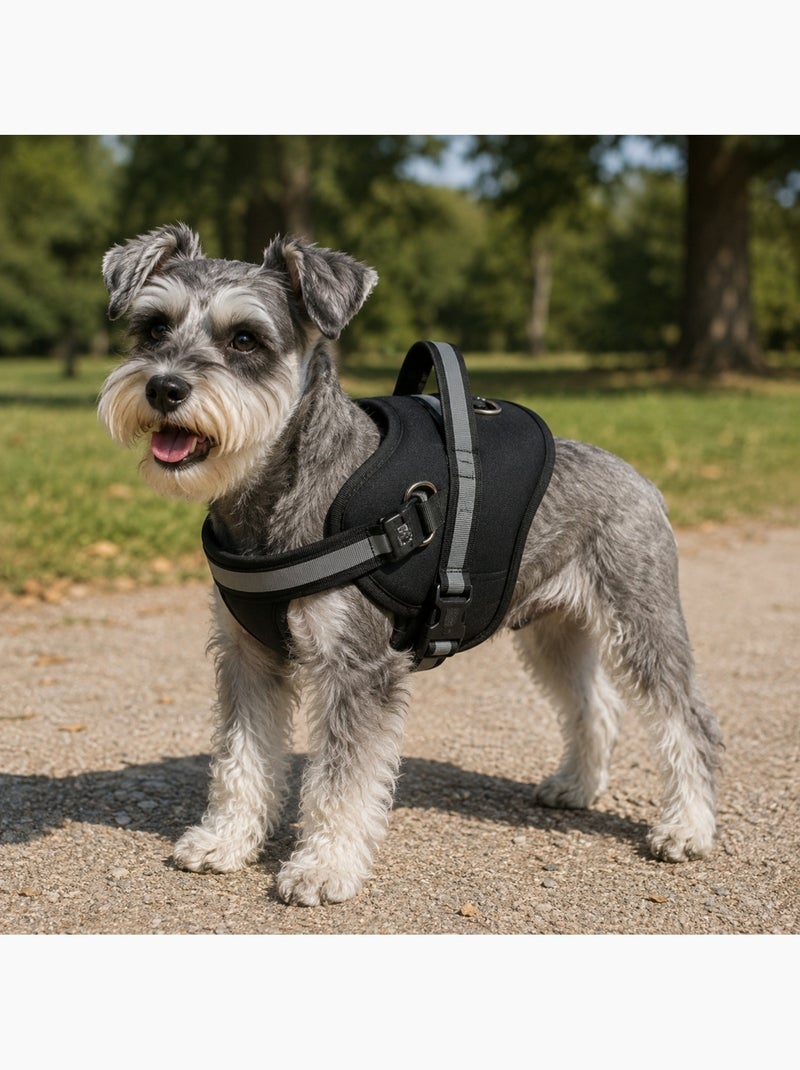 Harnais pour Chien Noir - Kiabi