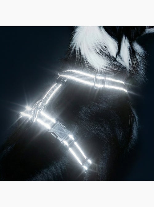 Harnais pour chien PELUVIO Mate - Réfléchissant - Réglables - Kiabi Harnais pour chien PELUVIO Mate - Réfléchissant - Réglables - Kiabi