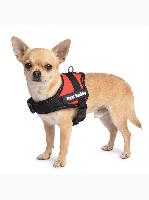 Harnais réglable pour chien Pluto - Kiabi
