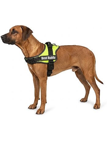Harnais réglable pour chien Pluto