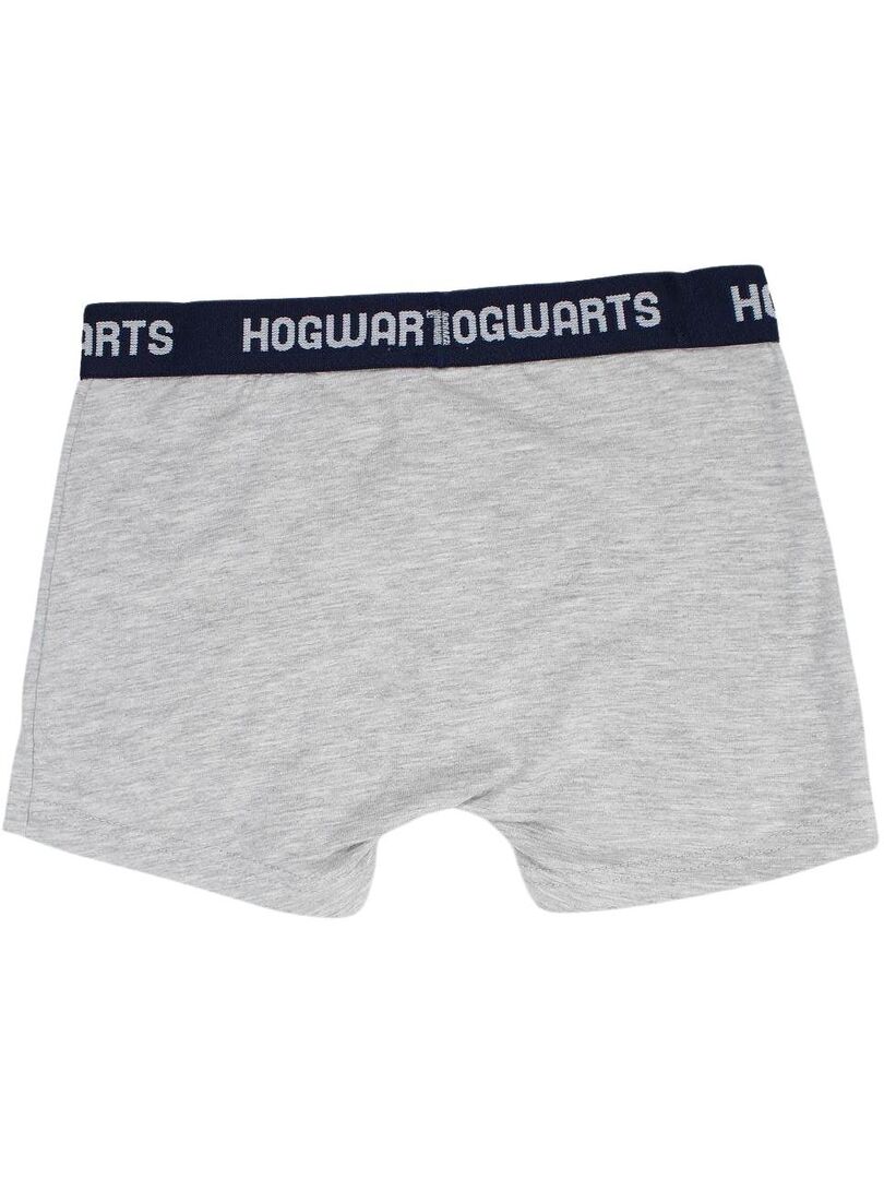 Harry Boxer Harry Potter - Boxer garçon imprimé Harry Potter en coton - Gris ...